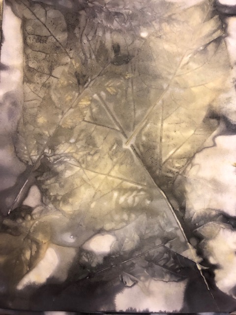 catalpa leaf eco print with elm leaves