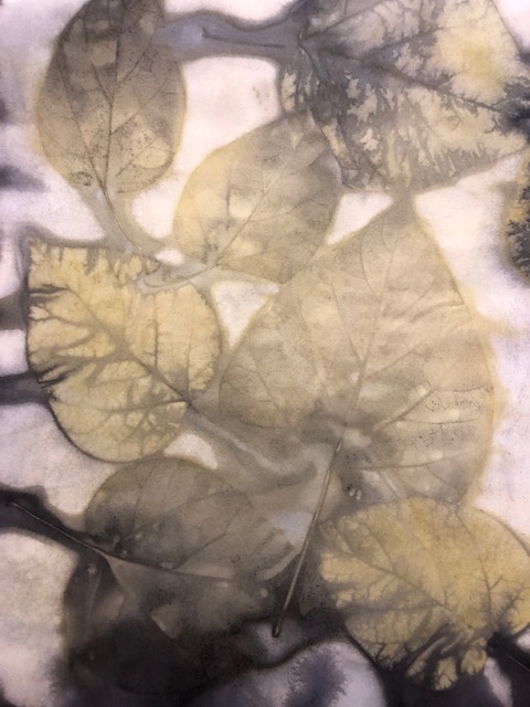 catalpa leaf eco print