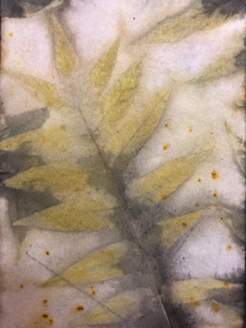 Ailanthus Altissima leaf eco print on paper