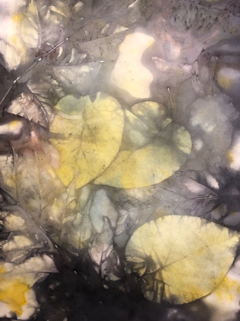 colorful eco print from leaves and petals