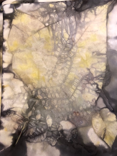 Catalpa leaf print with honey locust leaves