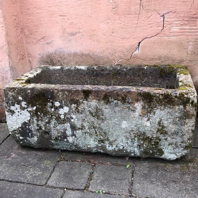 mossy old planting trough
